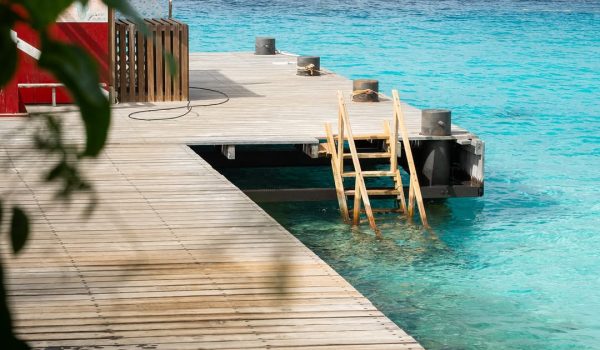bonaire-immersioni-mergulho (1)