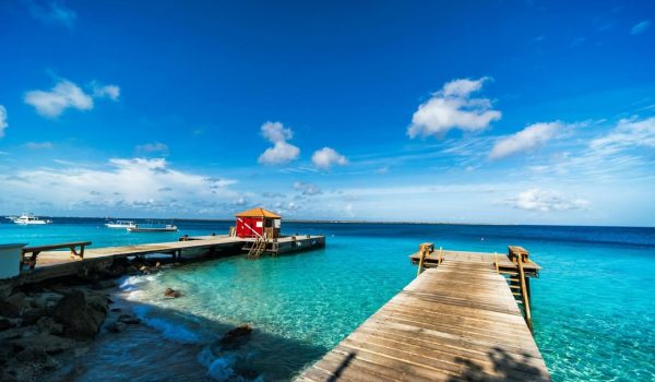 bonaire-immersioni-mergulho (5)