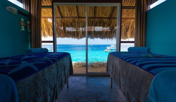 bonaire-immersioni-mergulho (6)