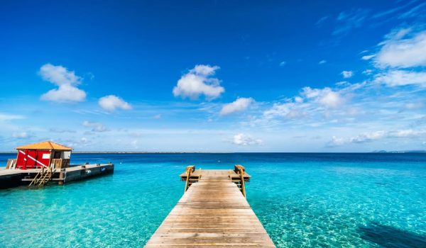 bonaire-immersioni-mergulho (7)